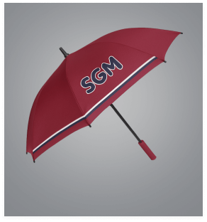 Umbrellas Accessories Schools