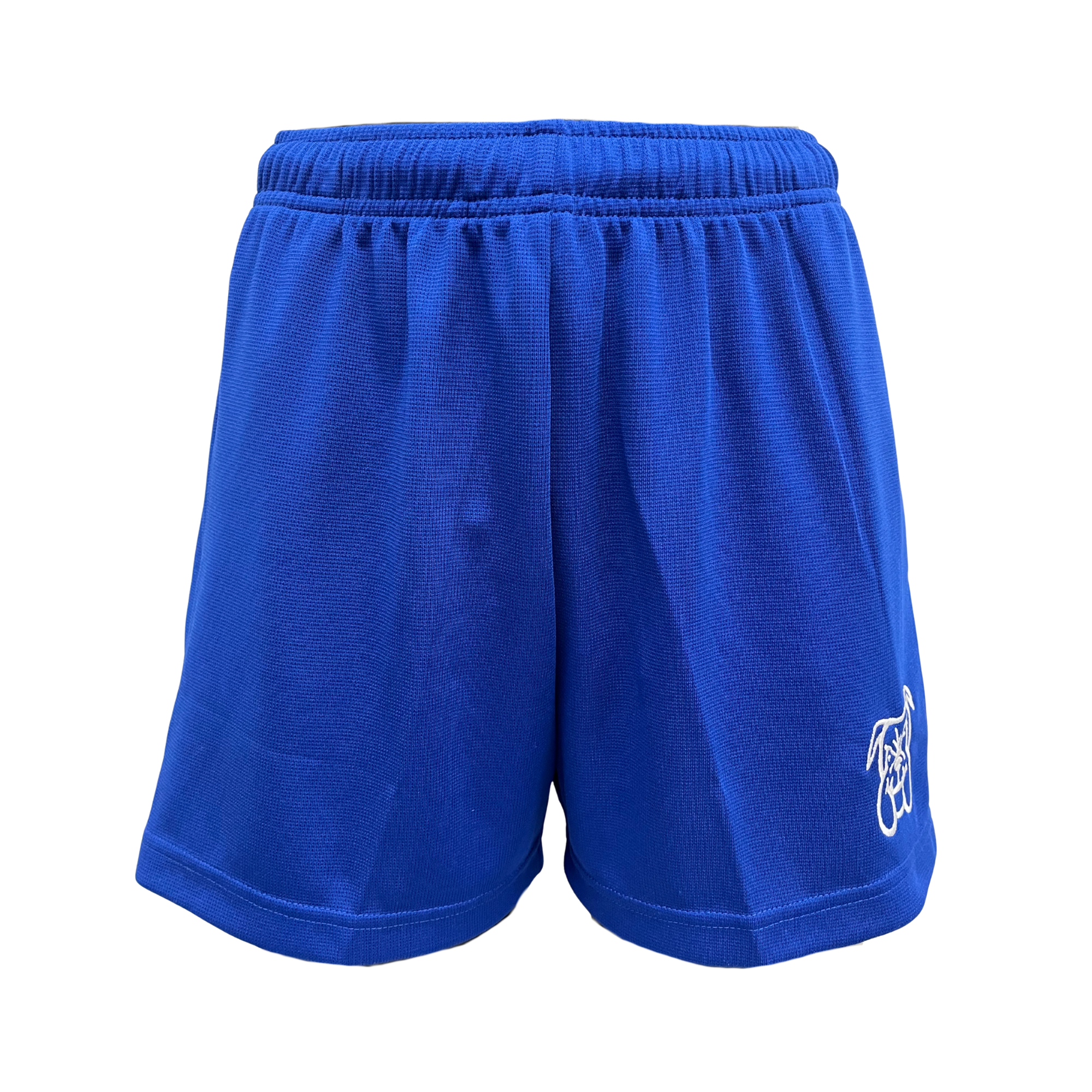 Custom Unisex School Sports Shorts