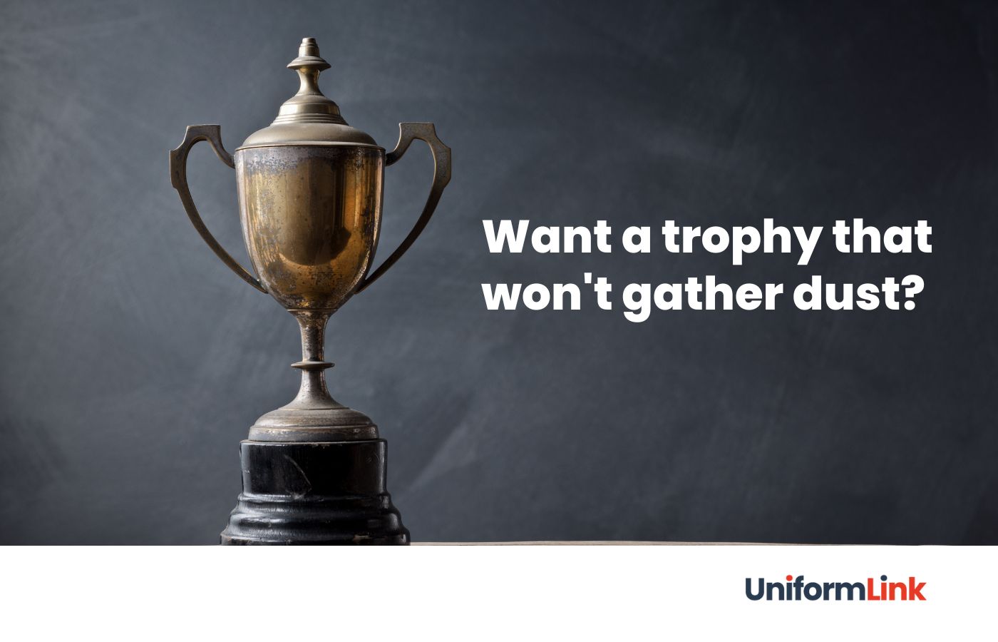 alternatives to trophy Want a trophy that wont gather dust?